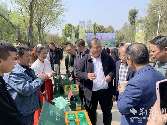 红安县华家河镇第一届茶文化节成功举办