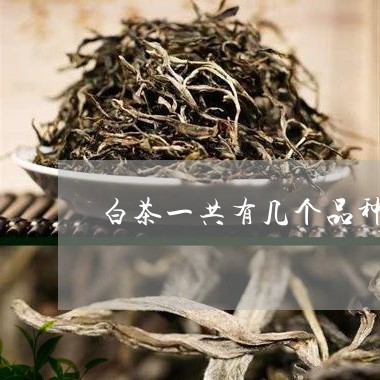 白茶一共有几个品种点头-白茶点头料适合收藏吗