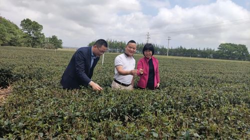 乡村振兴丨莫误农时 建行实招助春耕 下