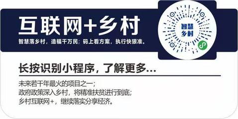安徽省发布10项措施乡村搭上“数字化快车”