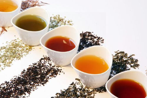 这三种茶叶不要买 卖茶老板偷偷教我一招,以后买到的都是好茶