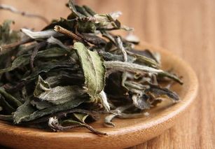 茶有九种香型,你知道你喝的茶属于哪一种香型吗
