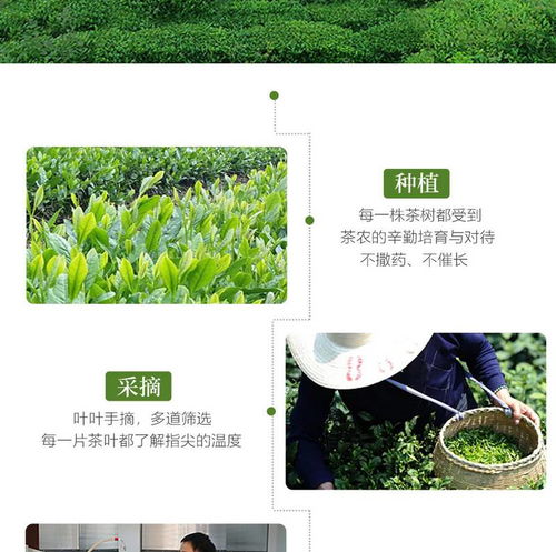 湖北宜昌长盛川袋泡花茶六种口味混合装 3g 6包