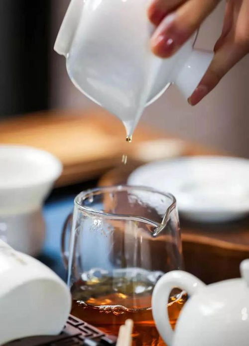 与普洱齐名,为川茶原生种,鲜为人知的南川茶,究竟有多厉害