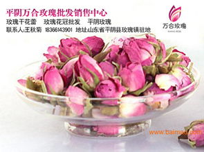 批发平阴玫瑰花蕾散装玫瑰花草茶,批发平阴玫瑰花蕾散装玫瑰花草茶生产厂家,批发平阴玫瑰花蕾散装玫瑰花草茶价格