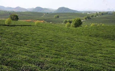 贵州省首个国家地理标志产品保护示范区获批成立!系贵州首个!