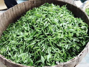 茗茶汇众筹║01湖南省沅陵县盘古茶叶种植专业合作社