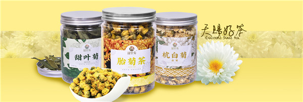 晟景菊菊花茶,发展宁夏的高端菊花茶产业