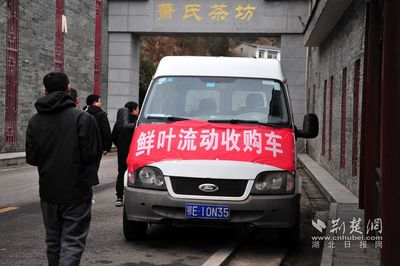 夷陵“无人工厂”抢“鲜”按下洁净制茶开机键