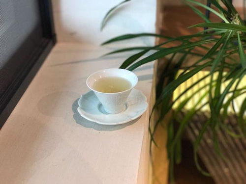 白茶没有泡出你喜欢的味道,这些原因你都想过吗