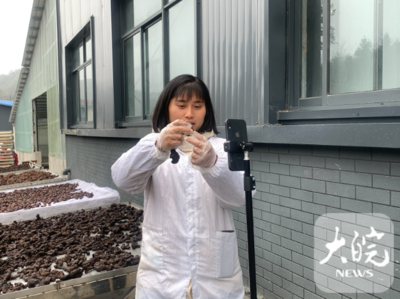 新时代新伟业新征程|走进池州市全国文明示范村,感受新时代乡村文明新风貌