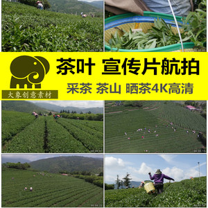 【农产品茶叶价格】最新农产品茶叶